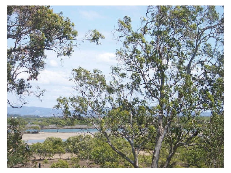 43 Victoria Ave, Russell Island QLD 4184