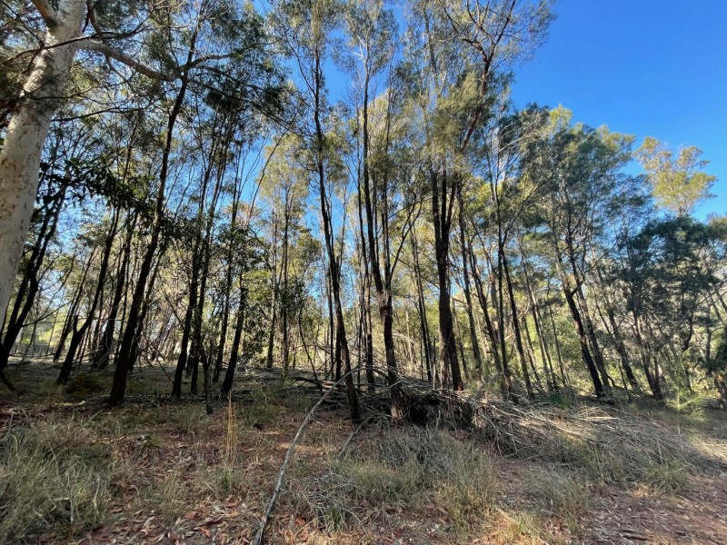 21 Delmar pde, Russell Island QLD 4184