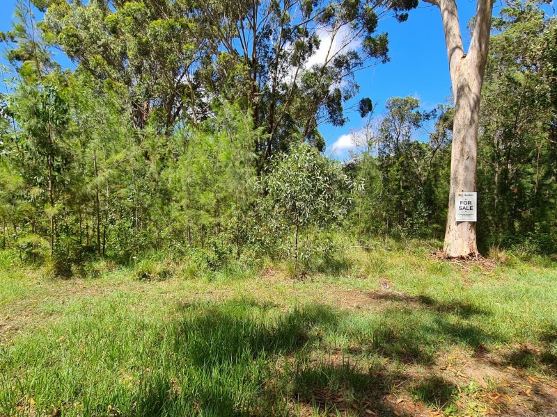 16 Trevanna Ave, Russell Island QLD 4184