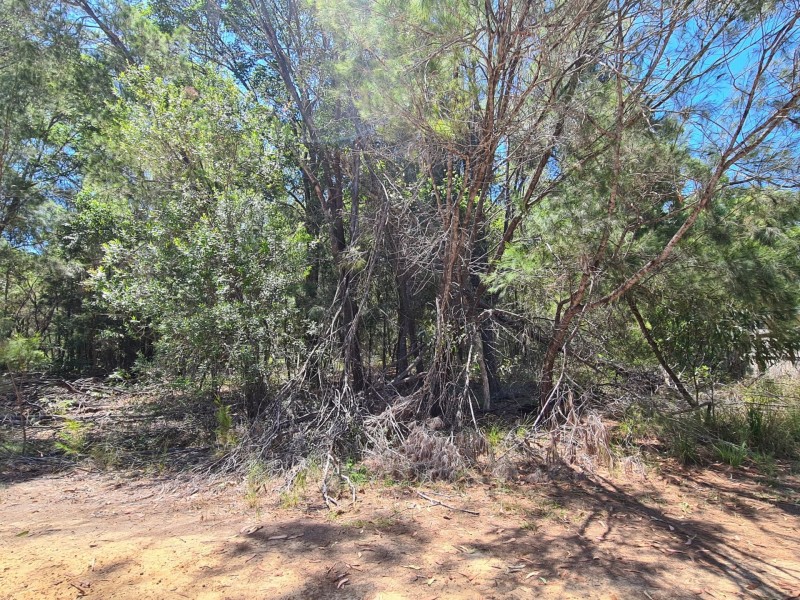 19 Grove Road, Russell Island QLD 4184