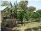 19 Orme Drive, Russell Island QLD 4184