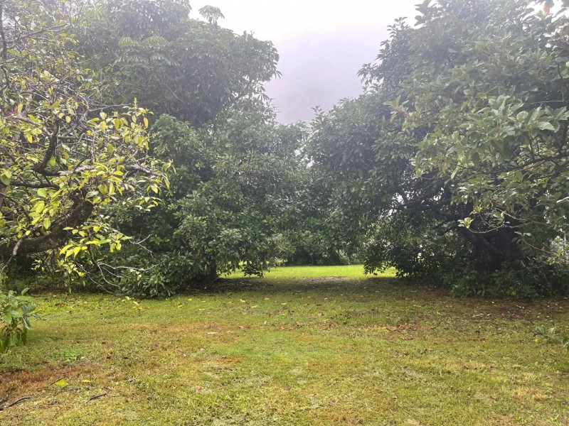 20 Sandra Street, Russell Island QLD 4184