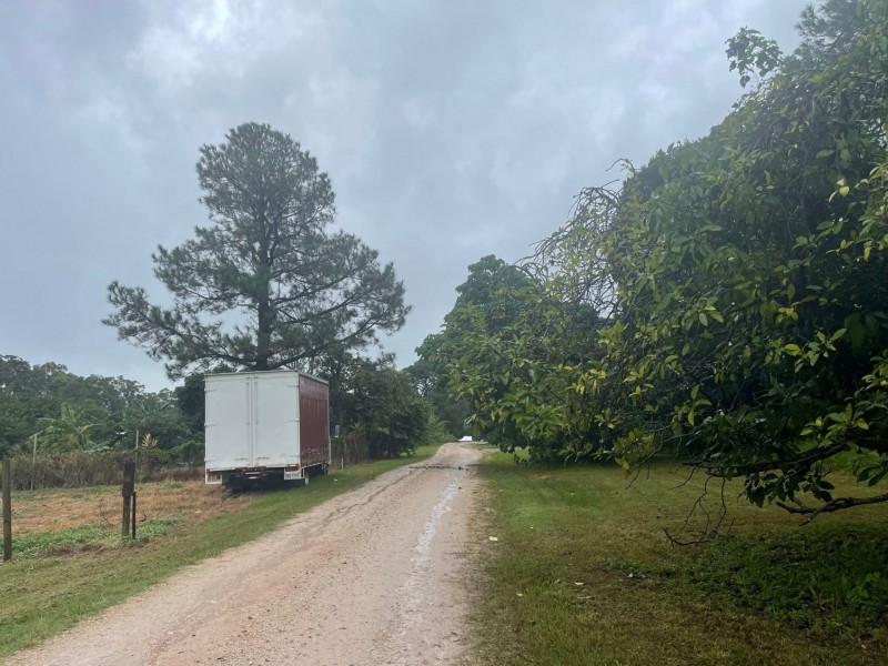 20 Sandra Street, Russell Island QLD 4184