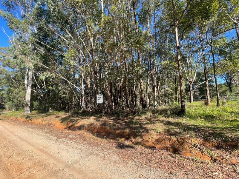 21 Currong Street, Russell Island QLD 4184
