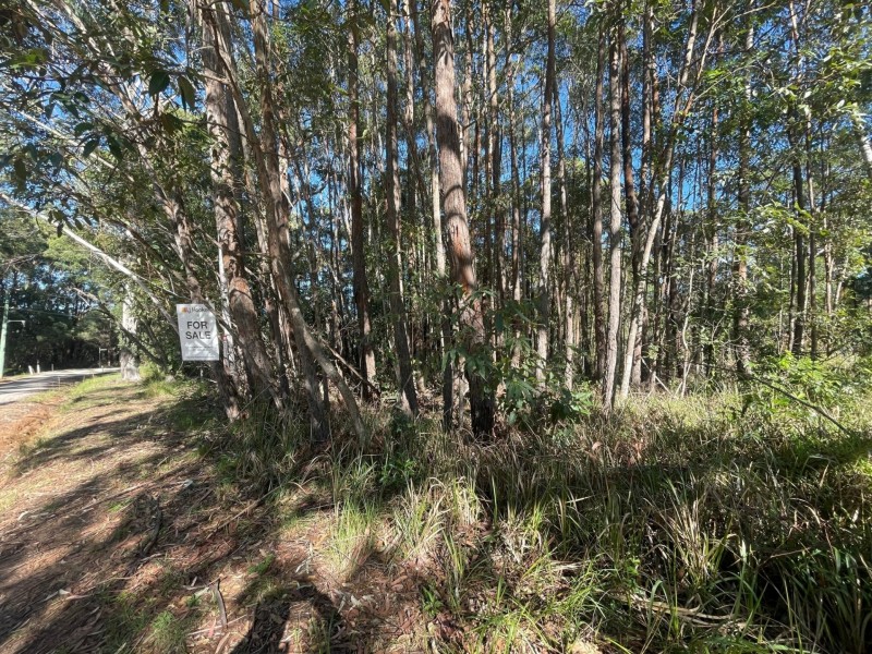 21 Currong Street, Russell Island QLD 4184