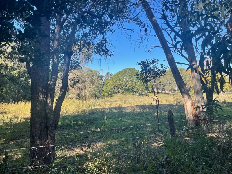 8 Ellis Street, Russell Island QLD 4184