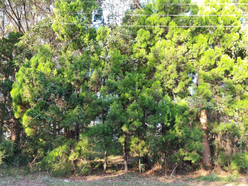 46 Lau Street, Russell Island QLD 4184