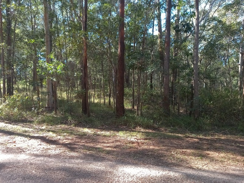 24 BLAXLAND STREET, Russell Island QLD 4184