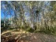 50 KENNEDY AVE, Russell Island QLD 4184
