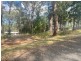 8 callistemon, Russell Island QLD 4184