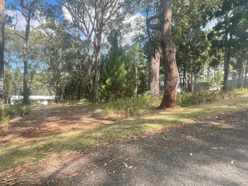 8 callistemon, Russell Island QLD 4184