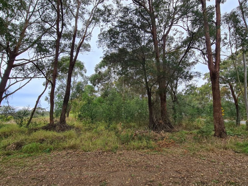 29 Minjerriba Road, Russell Island QLD 4184