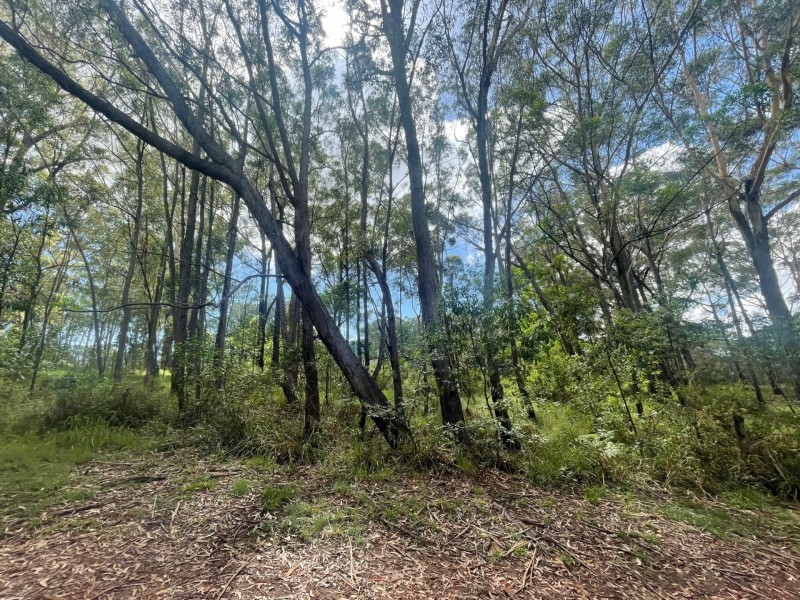 14 Lawson Street, Russell Island QLD 4184