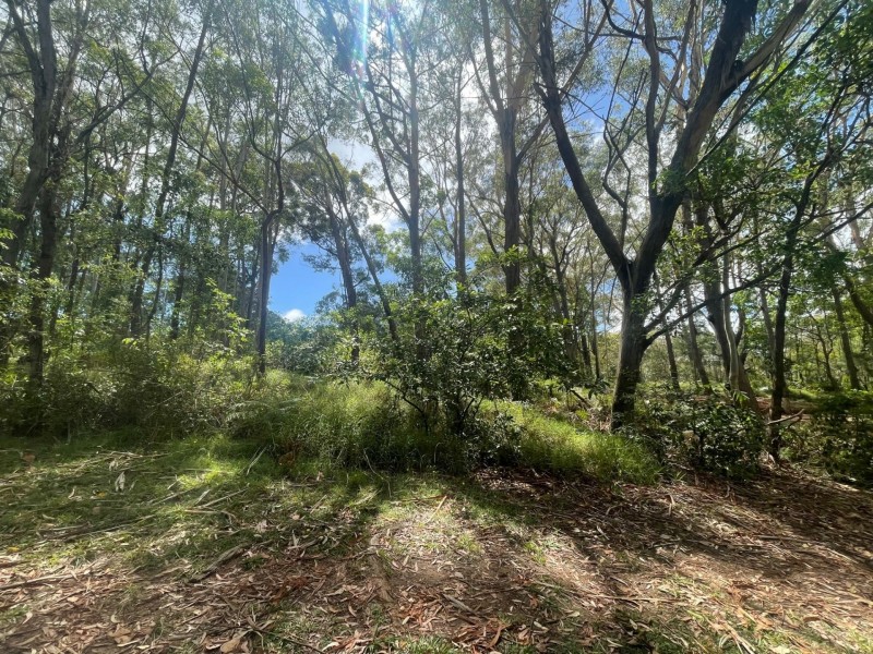 14 Lawson Street, Russell Island QLD 4184