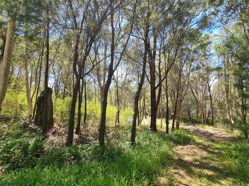 5 Seaward Drive, Russell Island QLD 4184