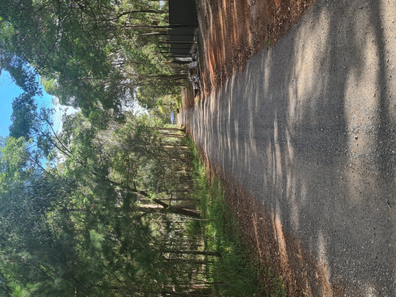 12 Belgrave Road, Russell Island QLD 4184