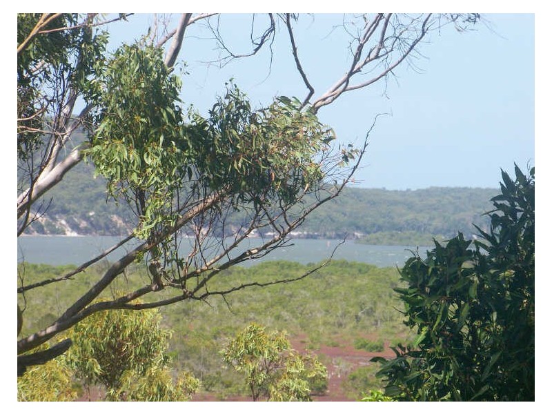 47 Aquamarine Ave, Russell Island QLD 4184