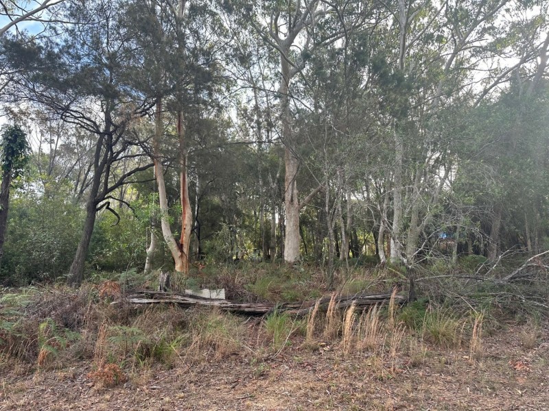 26 Canaipa Ridge Road, Russell Island QLD 4184