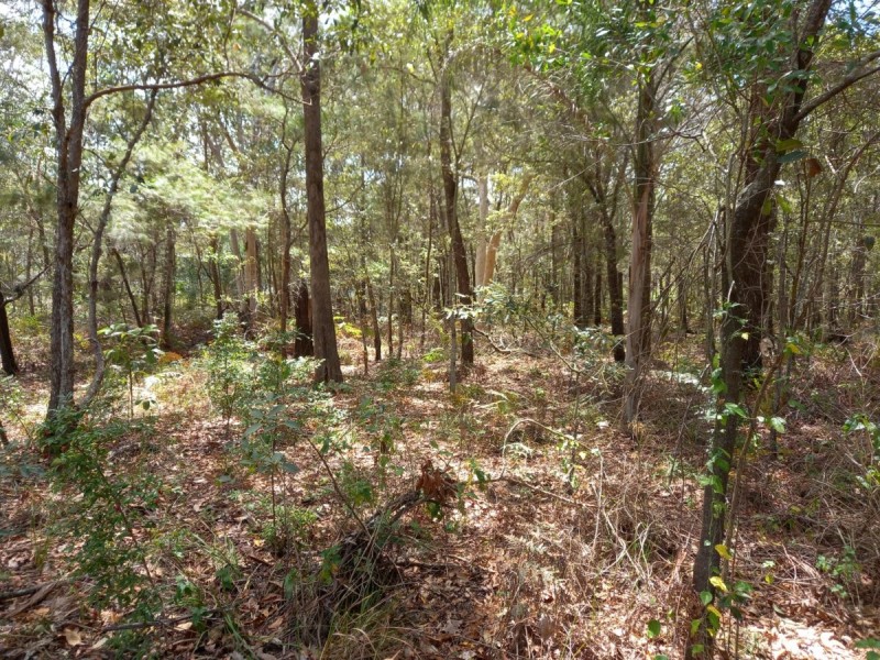 10 MONACO AVE, Russell Island QLD 4184