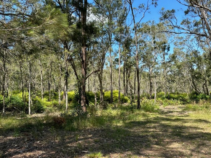 4 Cedar Street, Russell Island QLD 4184