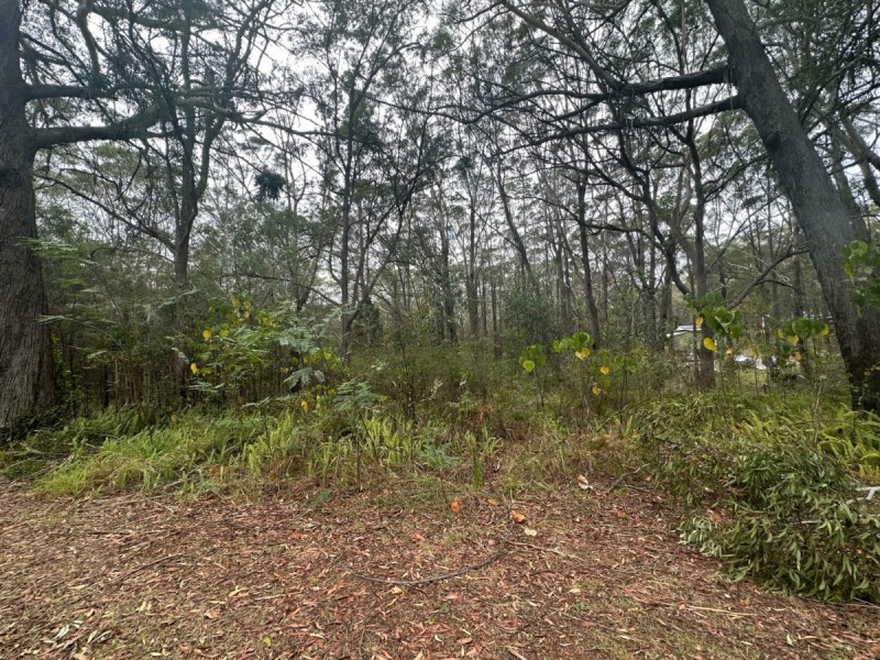 16 Jiwali St, Russell Island QLD 4184