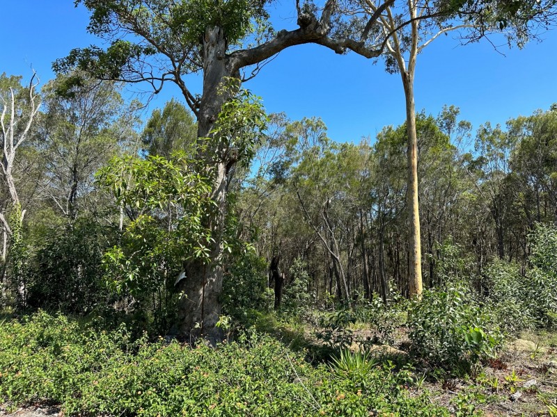 22 Topaz Street, Russell Island QLD 4184