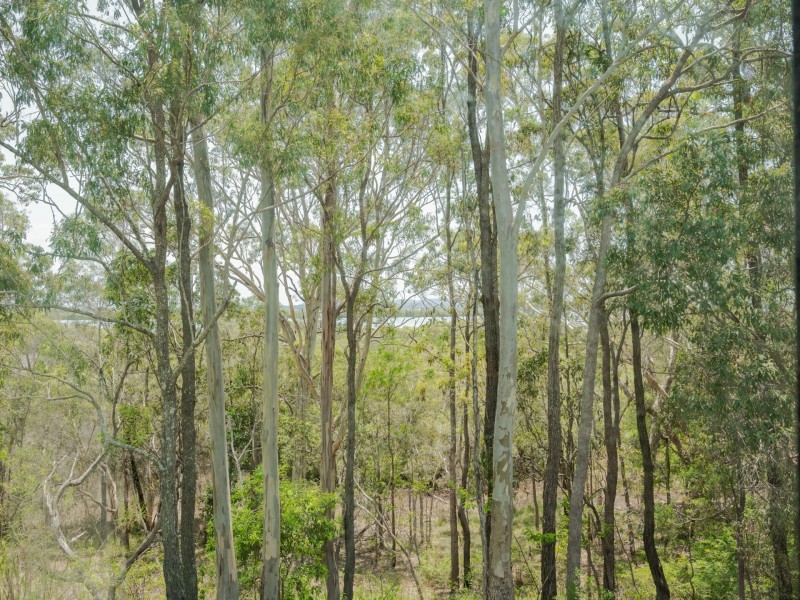 128 Laurel, Russell Island QLD 4184