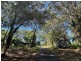 13 Little Cove Road, Russell Island QLD 4184