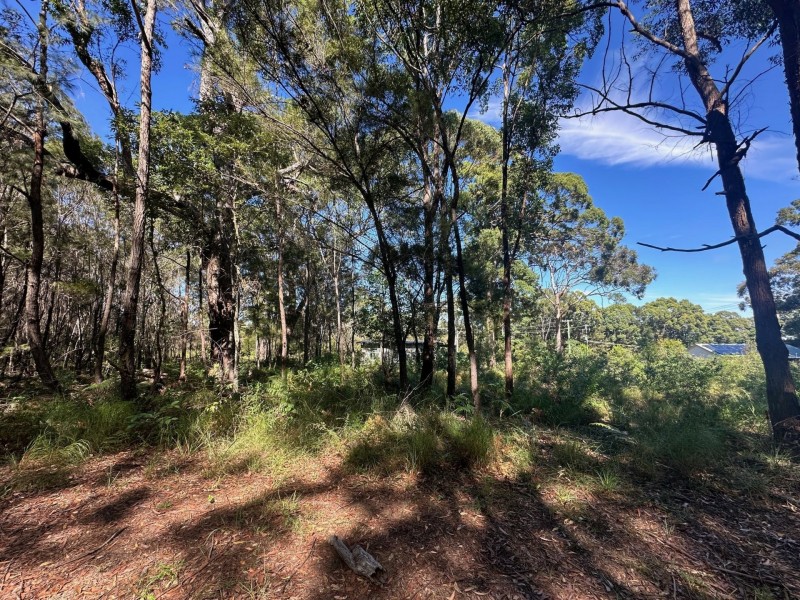 32 Zinnia Street, Russell Island QLD 4184