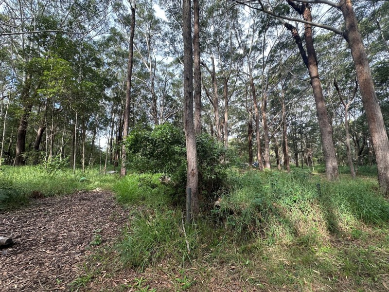 16 Cannes Avenue, Russell Island QLD 4184