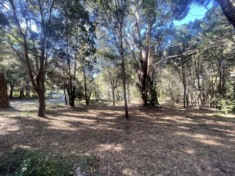 17 Catamaran, Russell Island QLD 4184