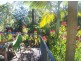 Lamb Island QLD 4184