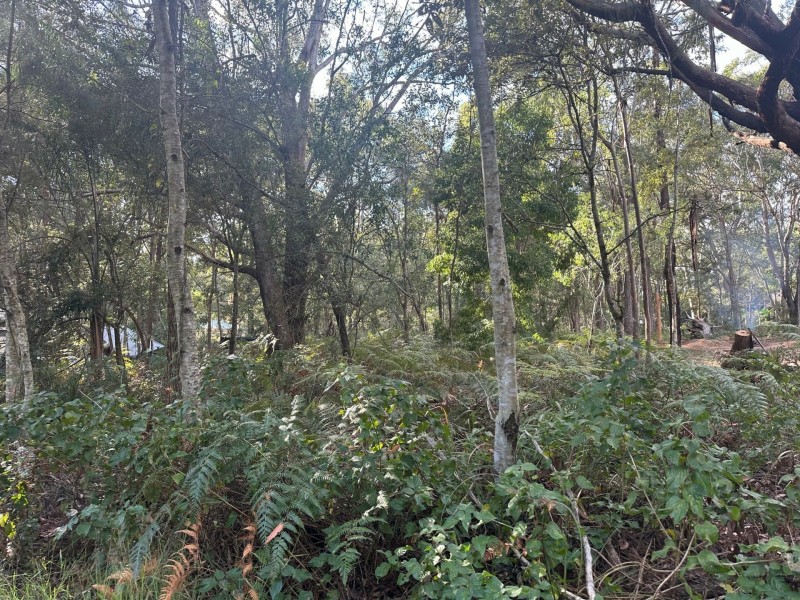 5 Monaco Ave, Russell Island QLD 4184