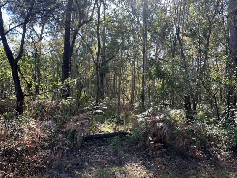 9 Poinsettia Court, Russell Island QLD 4184