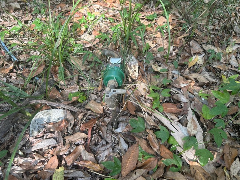 54 Cook Ave, Russell Island QLD 4184