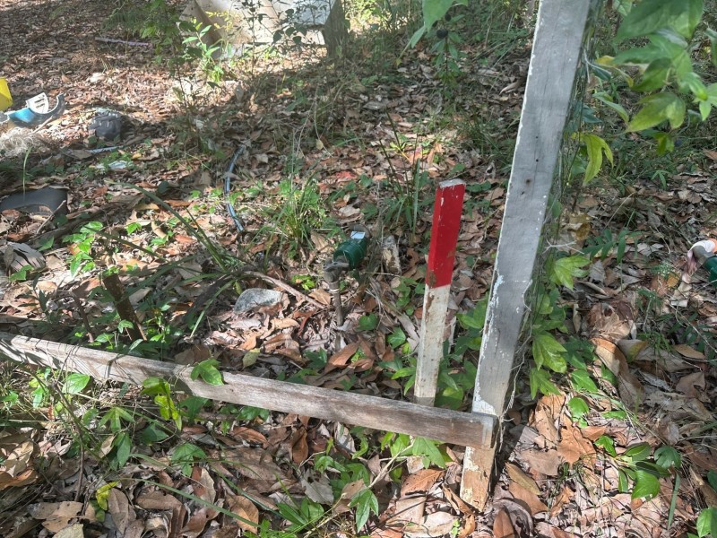 54 Cook Ave, Russell Island QLD 4184