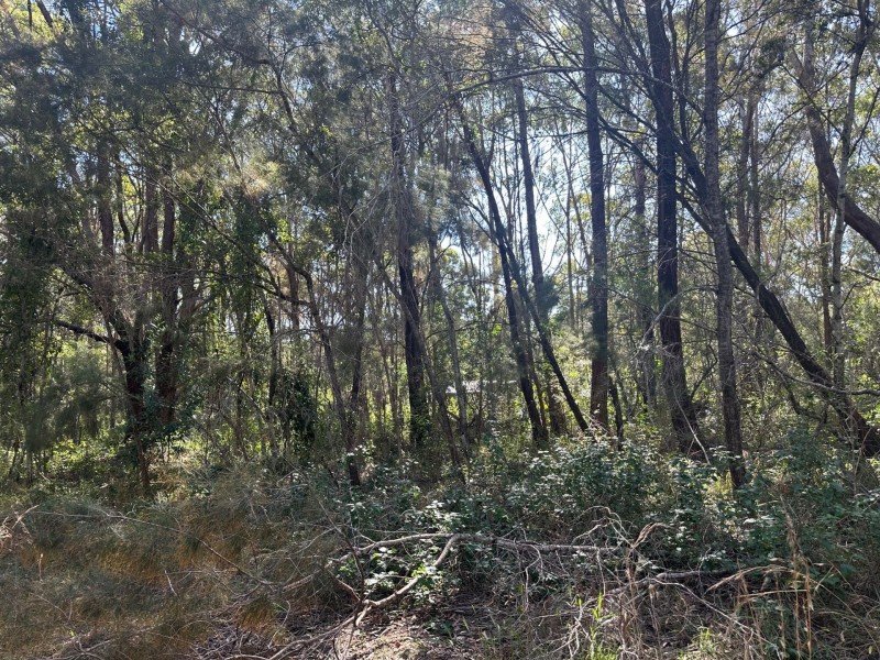 13 Sunhaven Road, Russell Island QLD 4184