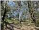 4 Canopy Cres, Russell Island QLD 4184
