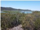 37 Bauhinia Drive, Russell Island QLD 4184