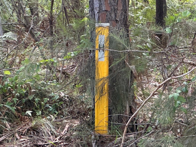 5 Harrison Street, Russell Island QLD 4184