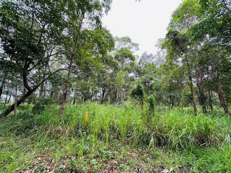 6 Arnold Street, Russell Island QLD 4184