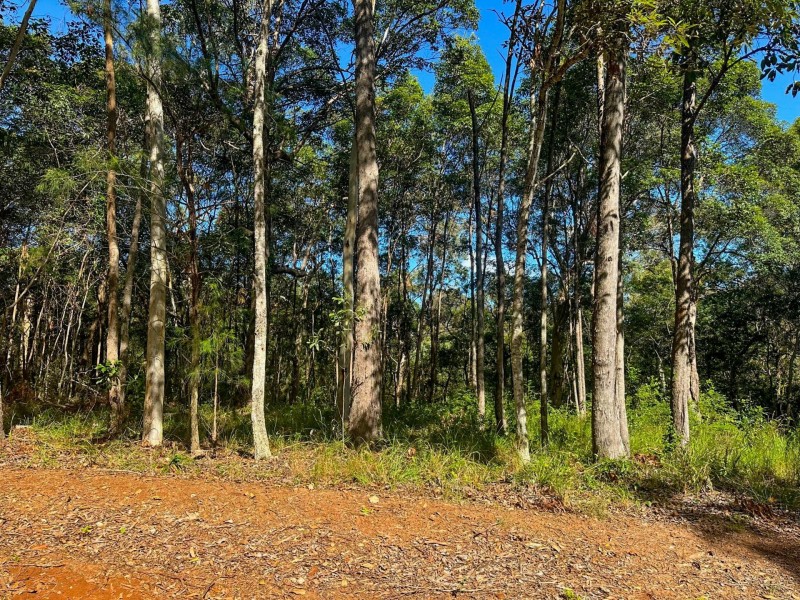 58 Burke Ave, Russell Island QLD 4184