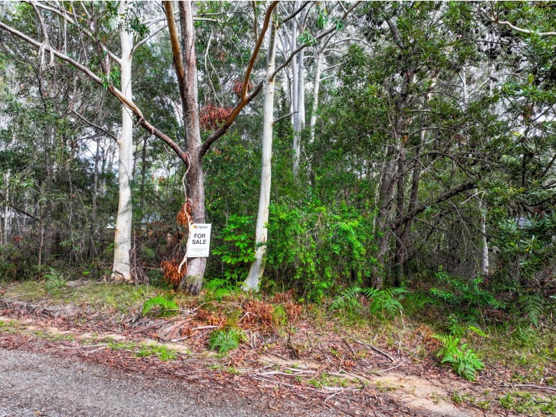 20 Dickenson Street, Russell Island QLD 4184