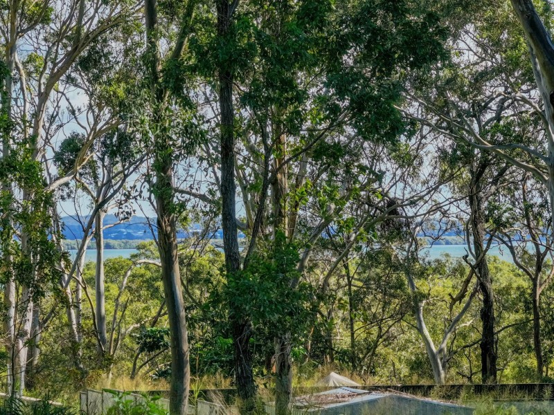 123 Laurel Street, Russell Island QLD 4184