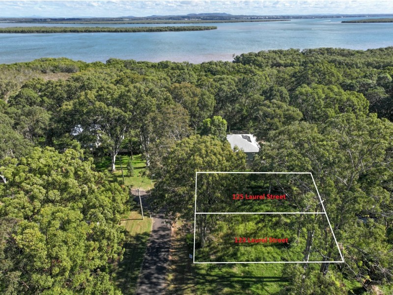 125 Laurel Street, Russell Island QLD 4184