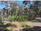 16 Pearl Street, Russell Island QLD 4184