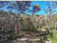 16 Pearl Street, Russell Island QLD 4184