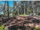 56 Shore Street, Russell Island QLD 4184