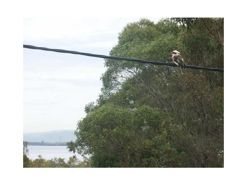 37 Belgrave, Russell Island QLD 4184
