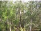 71 Cougal, Russell Island QLD 4184